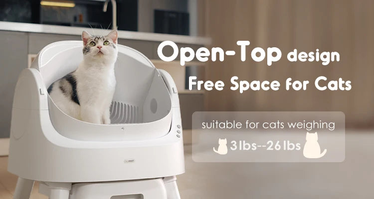 "Transform Your Home into a Cat-Loving Sanctuary"
