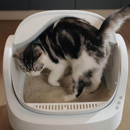 Stress-Free Self-Cleaning Cat Litter Box™