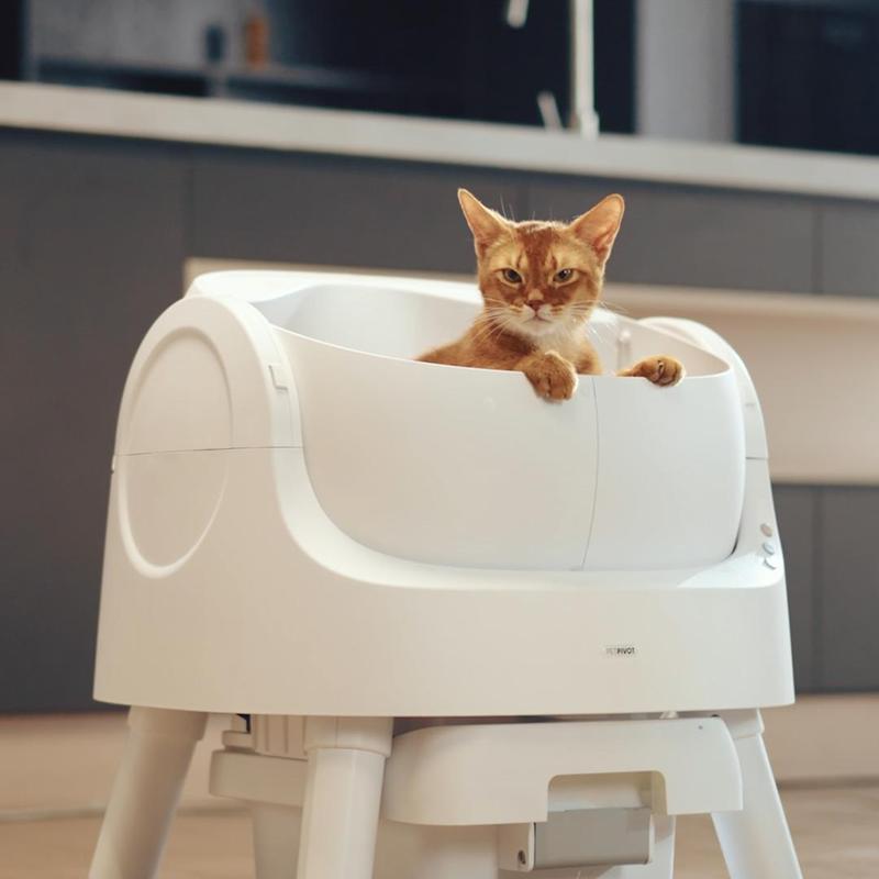 Stress-Free Self-Cleaning Cat Litter Box™
